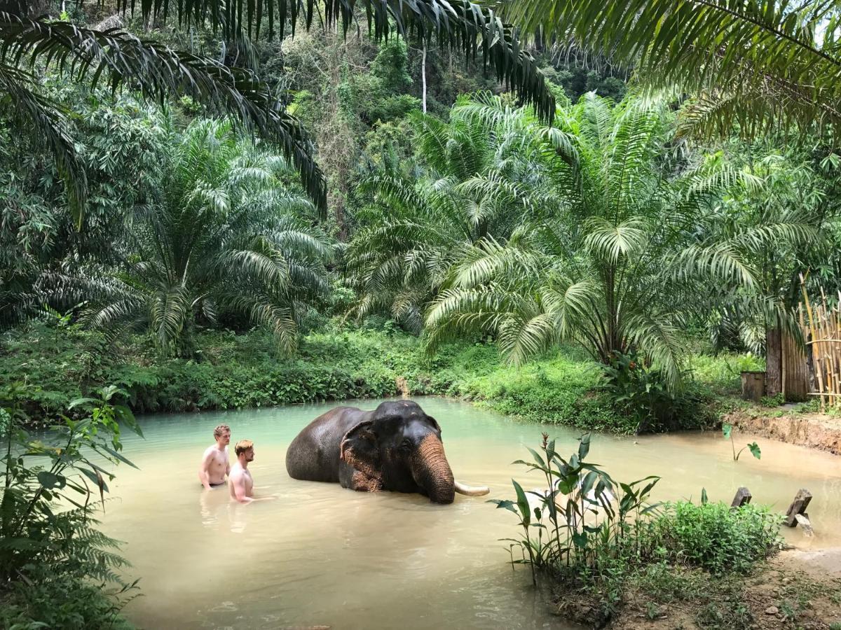 Khao Sok River Home Resort Khao Sok National Park Buitenkant foto