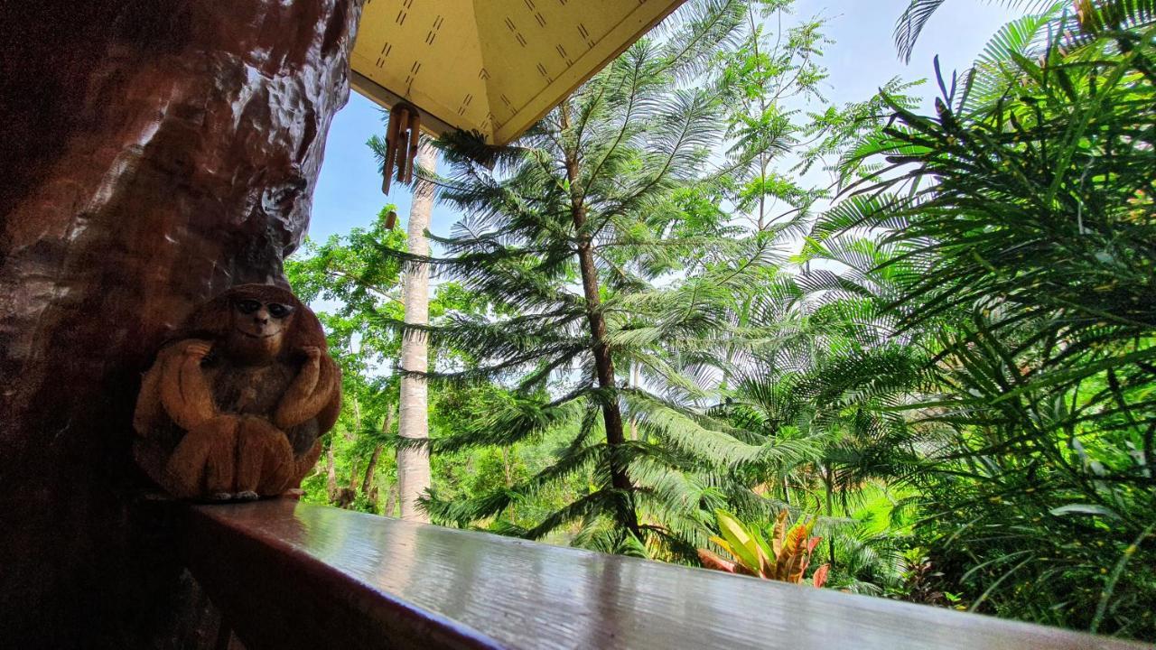 Khao Sok River Home Resort Khao Sok National Park Buitenkant foto