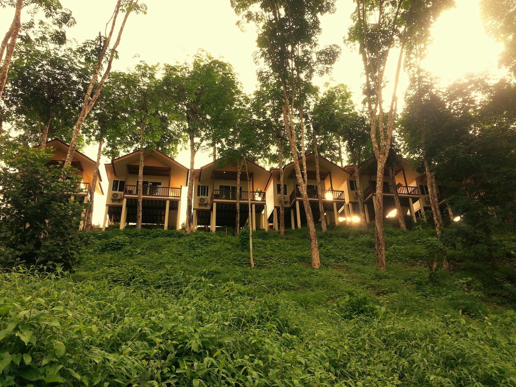 Khao Sok River Home Resort Khao Sok National Park Buitenkant foto