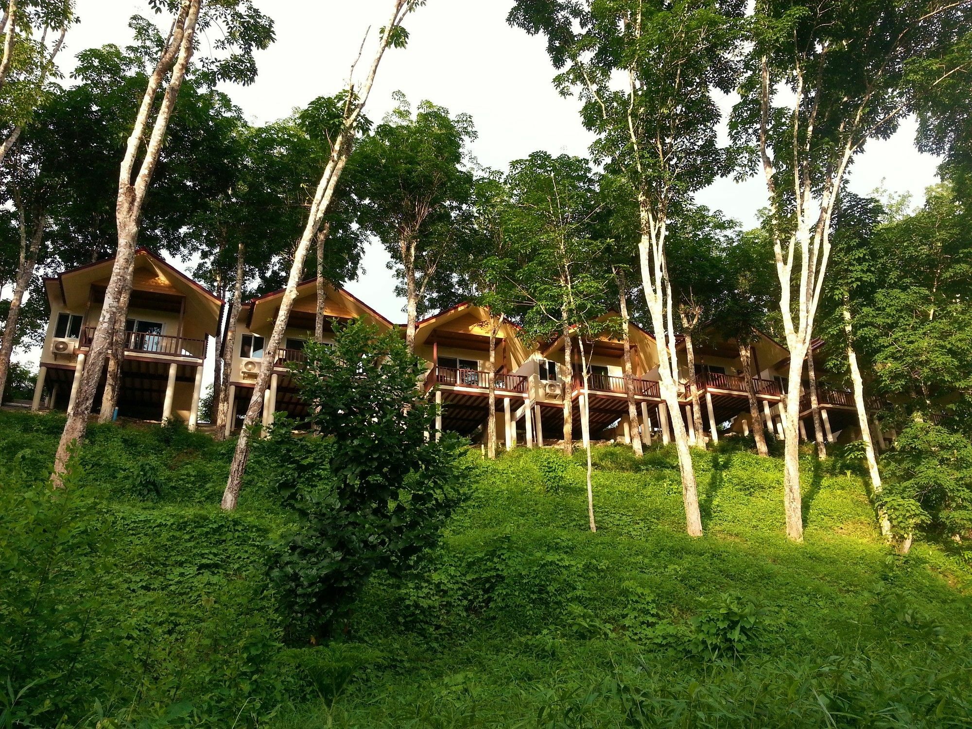 Khao Sok River Home Resort Khao Sok National Park Buitenkant foto