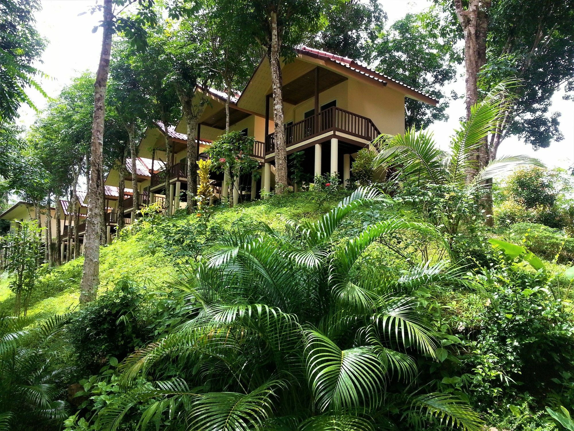 Khao Sok River Home Resort Khao Sok National Park Buitenkant foto